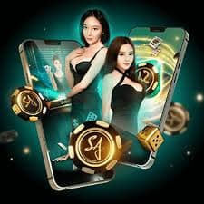 bdgame